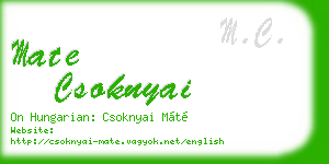 mate csoknyai business card