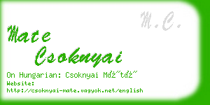 mate csoknyai business card